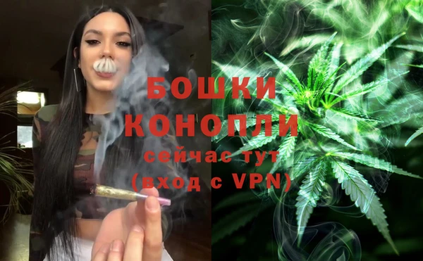 apvp Магадан