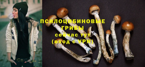 круглые Магас