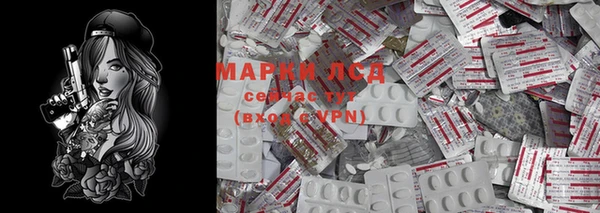 apvp Магадан