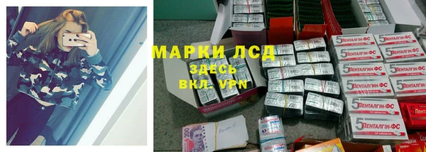 apvp Магадан